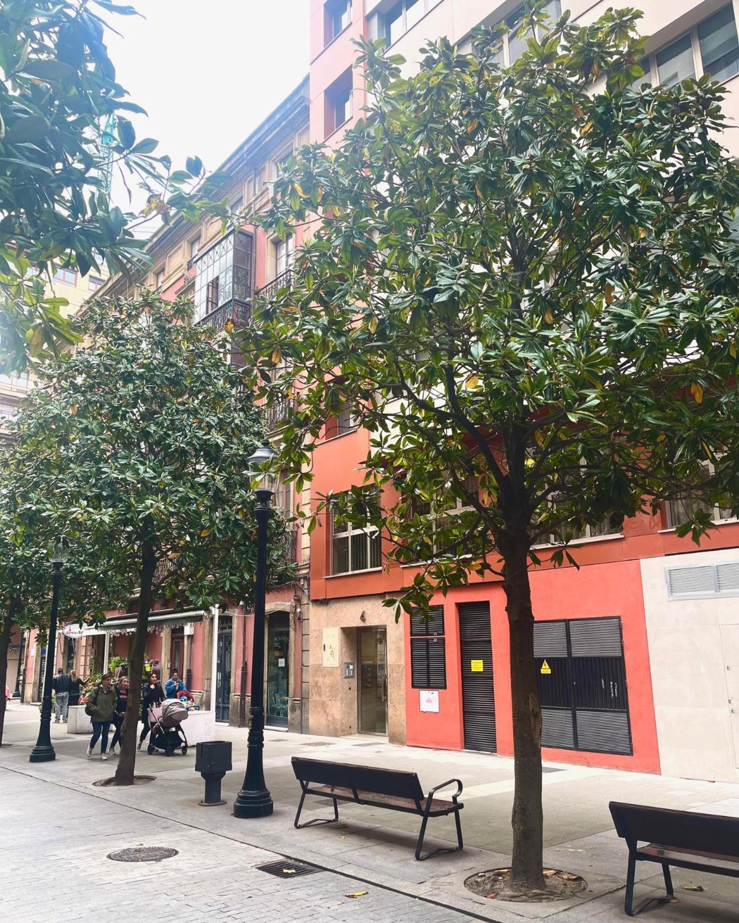 El Mirador Del Centro Apartment Gijon Ngoại thất bức ảnh