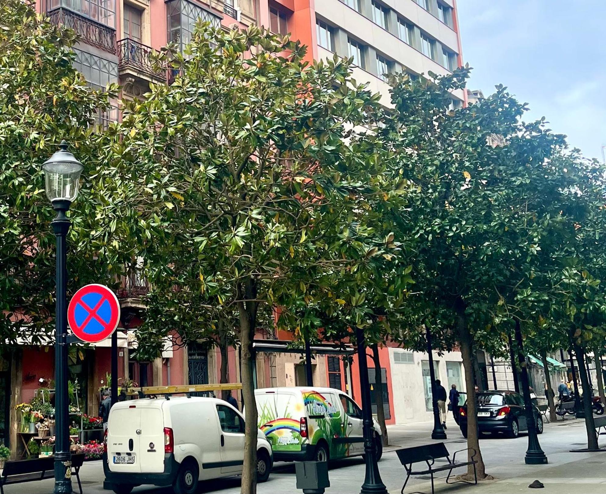 El Mirador Del Centro Apartment Gijon Ngoại thất bức ảnh